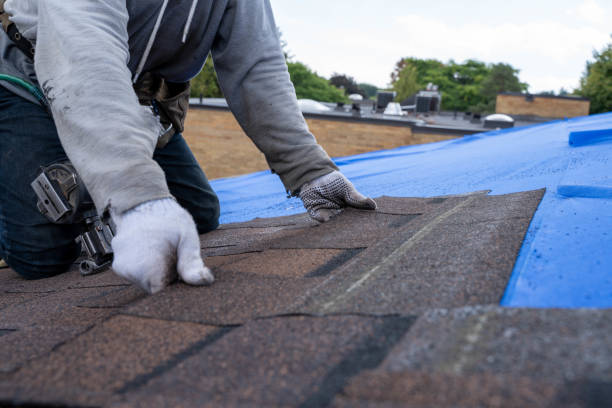 Sealant for Roof in Mcrae Helena, GA